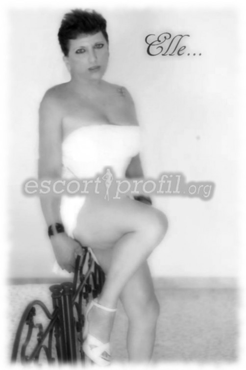 Foto Trans Lady Trans 10 - Maglie, Lecce