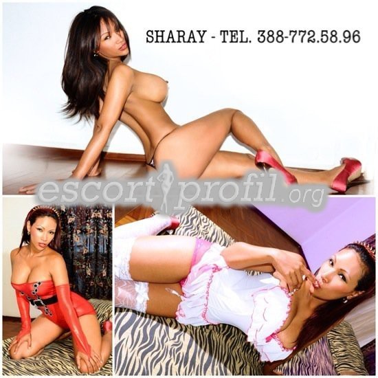 Foto Escort Sharay 3 - Roma